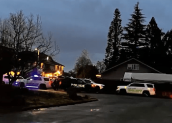Five members of family found dead in apparent murder-suicide after alarming text message – Law Officer