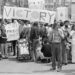 Dozens of protestors celebrate in San Francisco after Section 504 was passed. Source: Yahoo Images