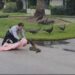Fire official capturing snake