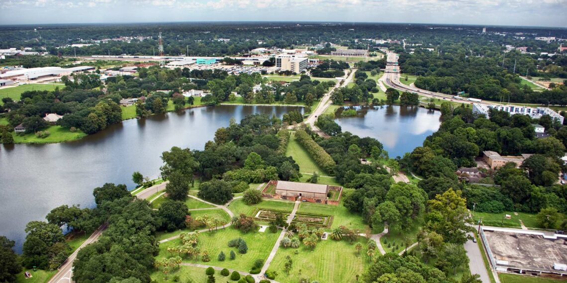 East Baton Rouge marks decline in homicides