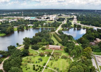 East Baton Rouge marks decline in homicides