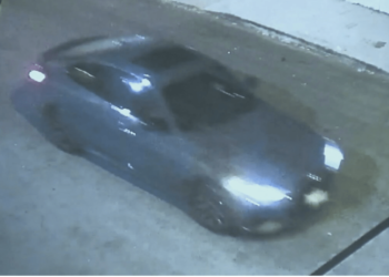 LAPD hunting for potential serial killer after 3 homeless are shot, killed – Law Officer