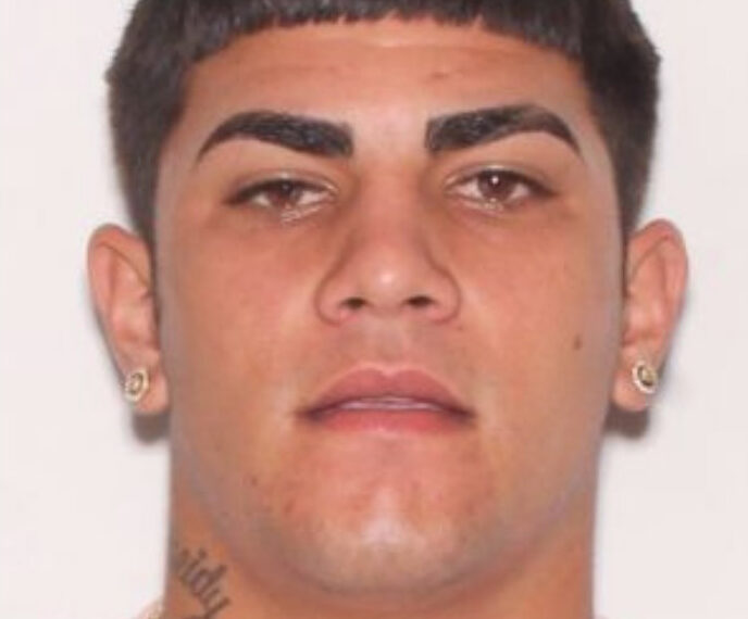 Leosvany Roman was arrested after allegedly crashing into two HCSO vehicles before fleeing the scene, the sheriff's office said. 