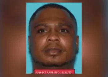 Arrest made in killing of 3 homeless people in Los Angeles – Law Officer