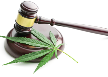 gavel and marijuana leaf
