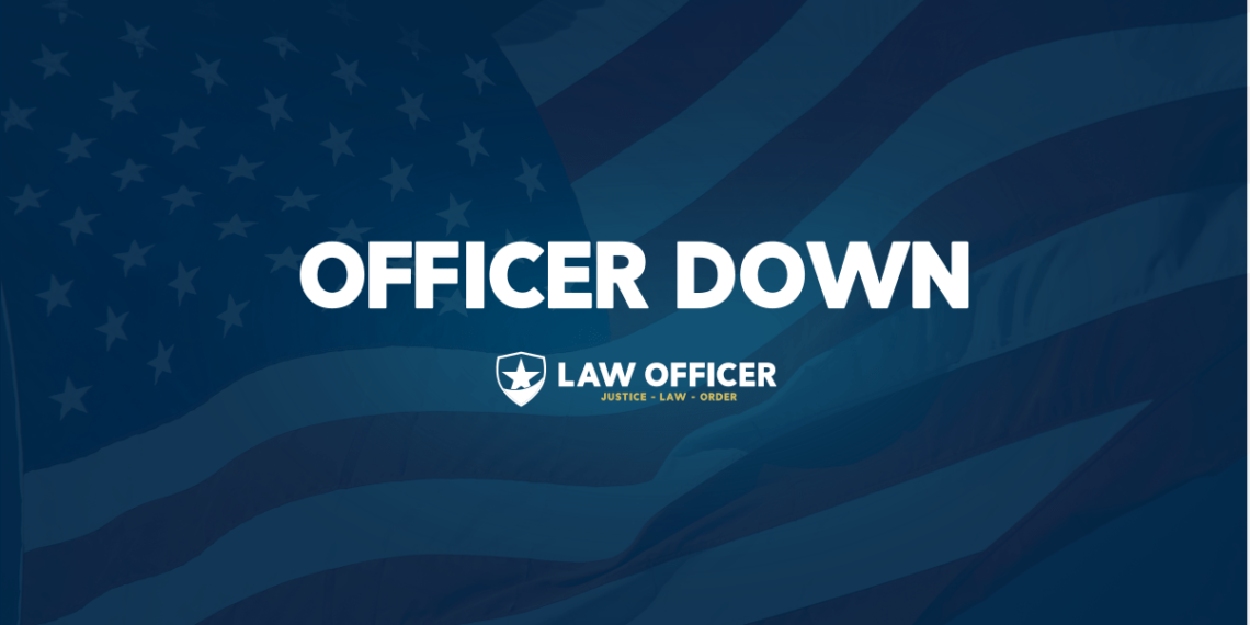 Georgia deputy killed on domestic violence call – Law Officer