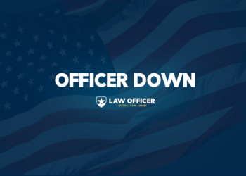 Georgia deputy killed on domestic violence call – Law Officer