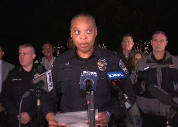 Austin Police Department's Interim Chief of Police Robin Henderson speaks at a press conference Wednesday morning following the suspect's arrest.
