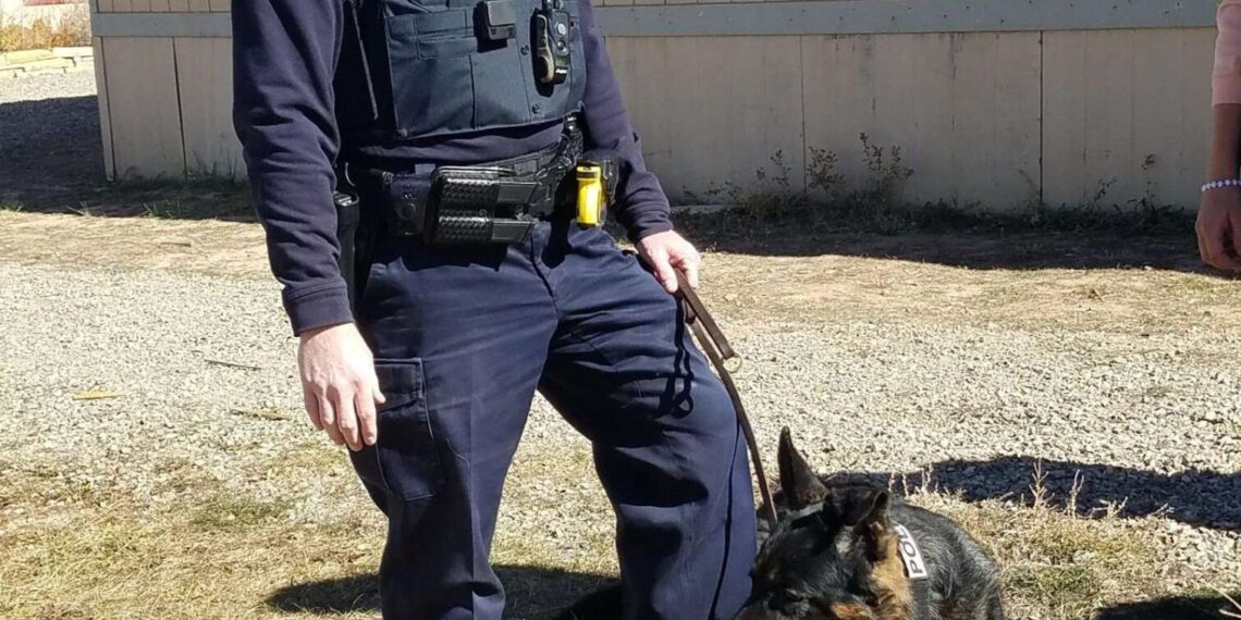 Colorado police sergeant shot and killed while making traffic stop – Law Officer