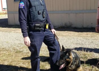 Colorado police sergeant shot and killed while making traffic stop – Law Officer