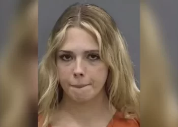 Tampa woman allegedly posed as 14-year-old to molest middle schoolers – Law Officer