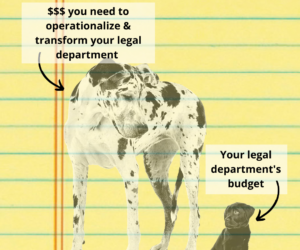 Digital transformation budgets