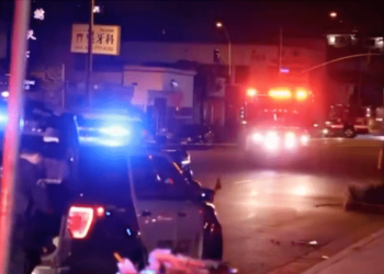 Fighting Evil – Law Officer