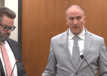 Former FBI informant accused of stabbing Derek Chauvin pleads not guilty – Law Officer