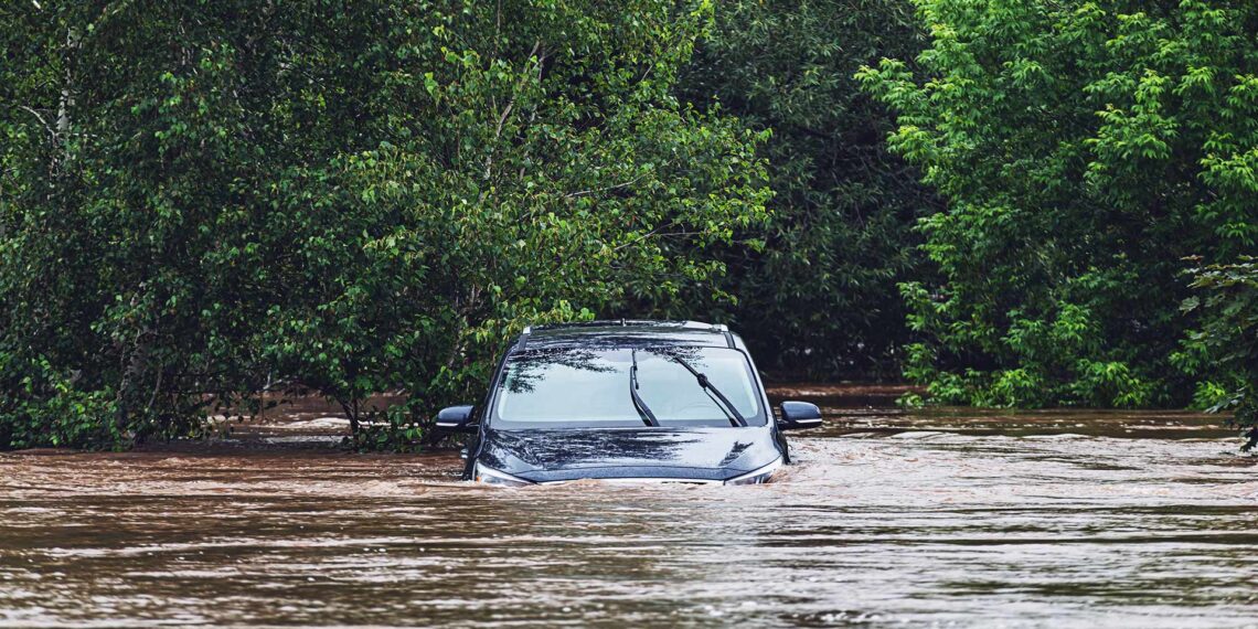 Dramatic water rescue: Maryland deputies save man and dogs from sinking SUV