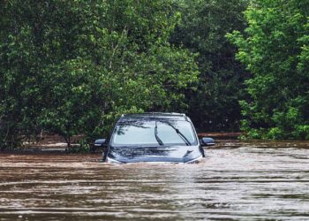 Dramatic water rescue: Maryland deputies save man and dogs from sinking SUV
