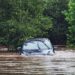Dramatic water rescue: Maryland deputies save man and dogs from sinking SUV