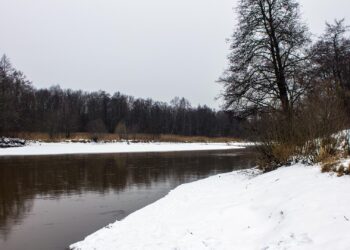 Vermont state trooper recounts heroic rescue of 8-year-old girl from icy pond