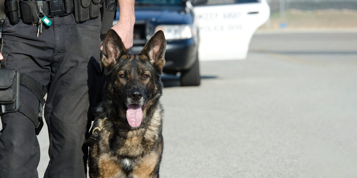 Ohio K-9 reunited with former handler who fought city for ownership
