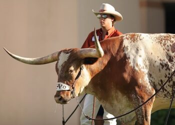 Fraternity members arrested for allegedly leaving dead longhorn outside rival frat house – Law Officer