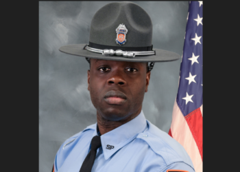 Ga. trooper dies in patrol vehicle crash