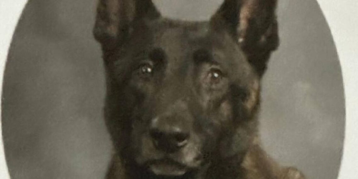 Suspect shoots, kills Miss. K-9 before fatal OIS