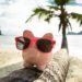 Pink Piggybank With Sunglasses On Tree Trunk At Beach