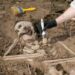 Archaeologist excavating skeleton