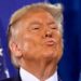 Trump kiss face
