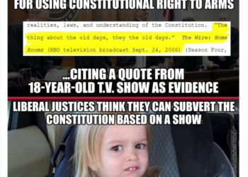 Hawaii Supreme Court Achieves a Higher Caliber of Juris-Stupid – Law Officer