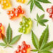 Accommodating cannabis: A "how-to" for employers: Employment & Labor Insider
