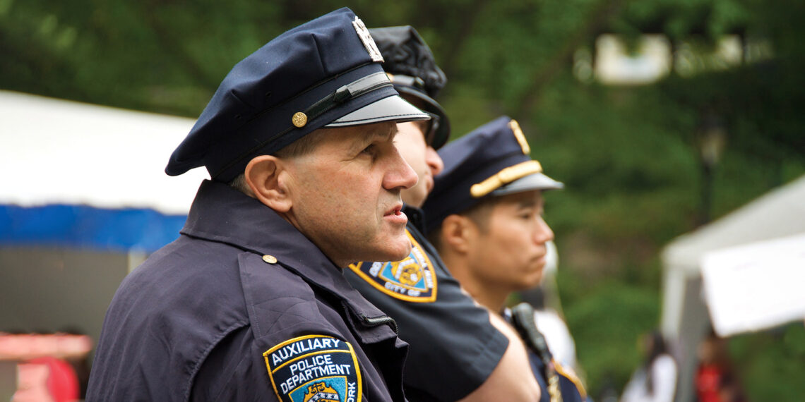 The challenges and opportunities of auxiliary enforcement