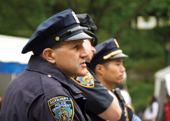 The challenges and opportunities of auxiliary enforcement