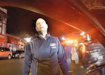 New Jersey police chief retires early after drunken conflict with sergeant – Law Officer