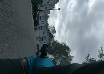 Officer confuses a falling acorn for a gunshot — here is why it can easily happen again