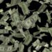 dollar-2891817_1280