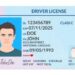 Should A License To Practice Law Be More Like A Driver's License?