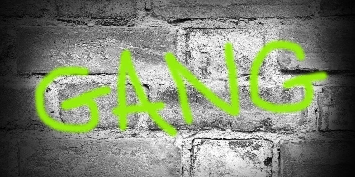 State agencies seek millions in funding to combat street gangs in Georgia