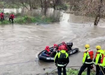Six People and a Dozen Dogs and Puppies Required Water Rescue From Inundated River Island In San Jose