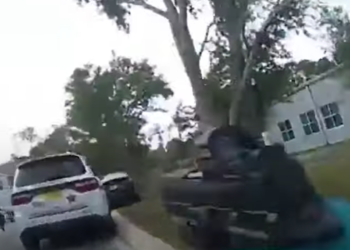 Fla. officer shoots at cuffed suspect after mistaking acorn landing on cruiser for gunfire