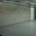 CEO takes shot to demonstrate less lethal device