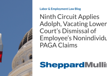 Ninth Circuit Applies Adolph, Vacating Lower Court’s Dismissal of Employee’s Nonindividual PAGA Claims