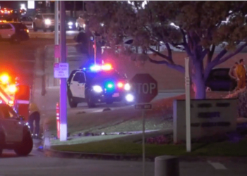 Girl dies of self-inflicted gunshot wound from deputy’s firearm inside LASD lobby – Law Officer