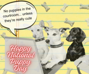 March 23, Happy Happy National Puppy Day