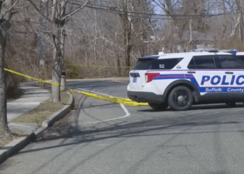 Four suspects accused of chopping up two bodies allowed to walk free without bail due to New York law – Law Officer