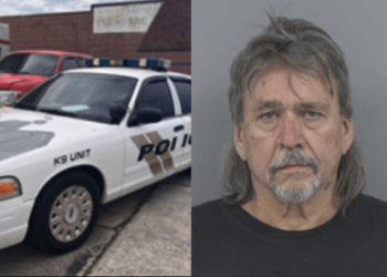 Convicted felon with a firearm caught impersonating police in fake patrol car – Law Officer
