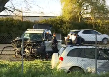 Video shows driver ‘deliberately’ crashed head-on into patrol vehicle parked along interstate