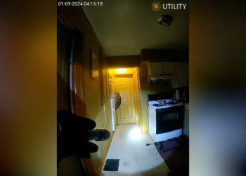 Indianapolis police officers remove “big a** raccoon” from home in hilarious home invasion
