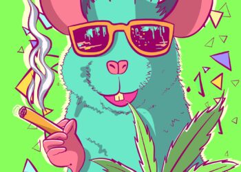 “They’re all high”: New Orleans police headquarters infested with rats eating confiscated marijuana