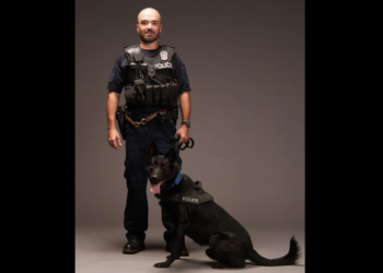 Man pleads guilty to causing 2023 crash that killed Mo. officer, pedestrian and K-9